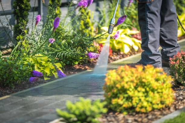 Best Driveway Pressure Washing  in Moody, TX